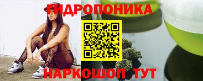 гашик Будённовск