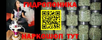 гашик Будённовск