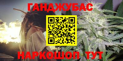 гашик Будённовск