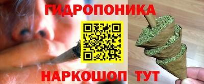 гашик Будённовск