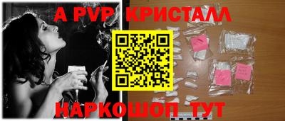 гашик Будённовск